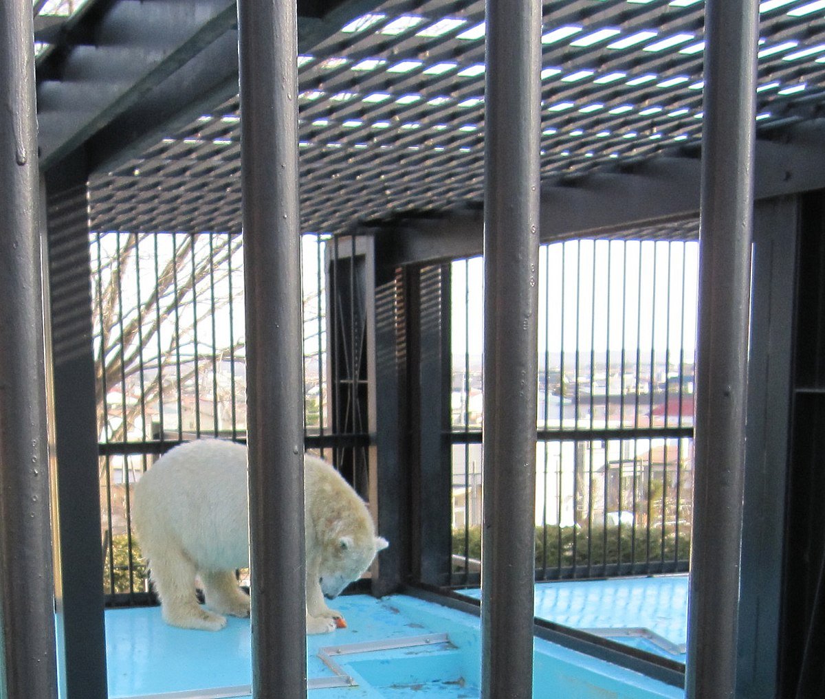 🦁 오비히로 동물원 이미지 3